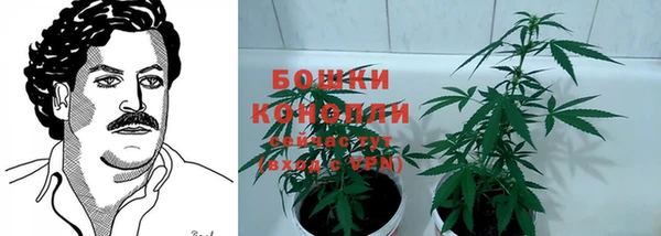трава Алзамай